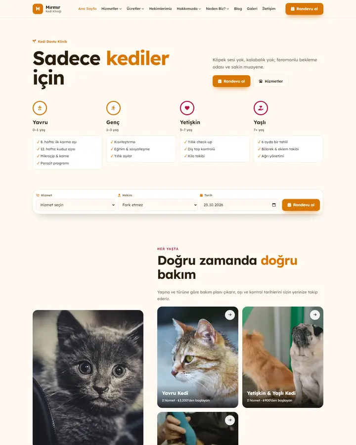 Tema 05 – Yaşam Evreleri tasarım önizlemesi
