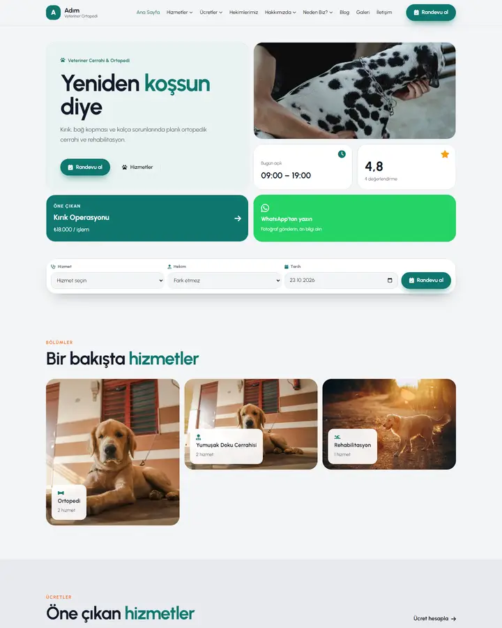 Tema 08 – Bento tasarım önizlemesi