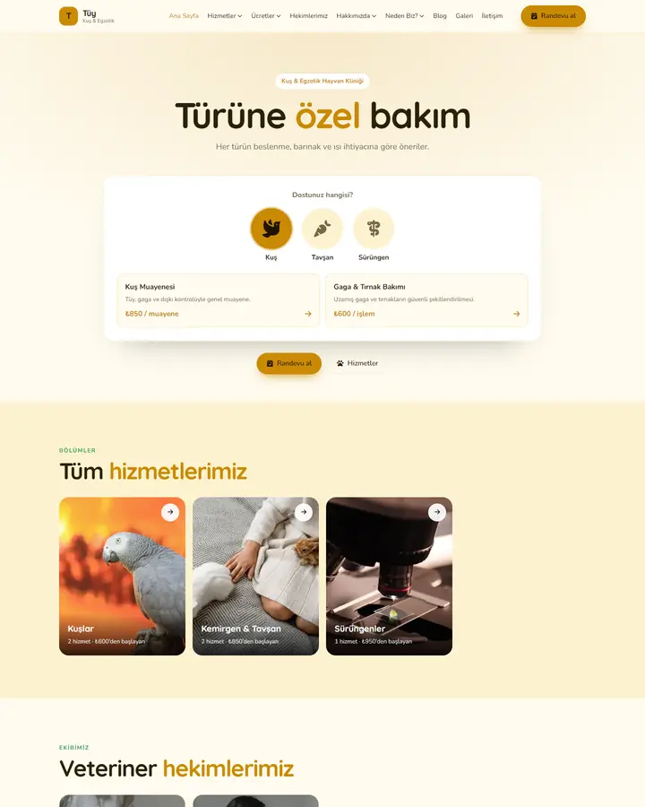 Tema 14 – Tür Seçici tasarım önizlemesi
