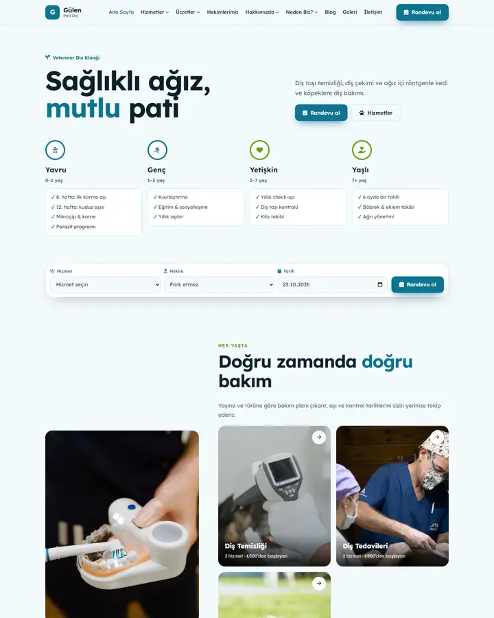 Tema 15 – Yaşam Evreleri tasarım önizlemesi