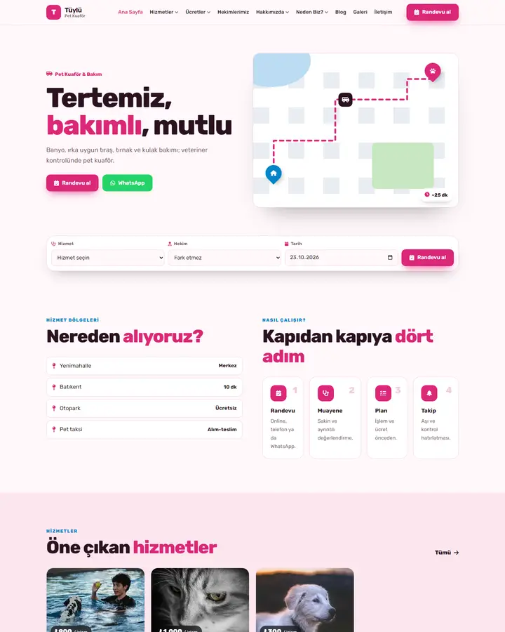 Tema 19 – Pet Taksi Rotası tasarım önizlemesi