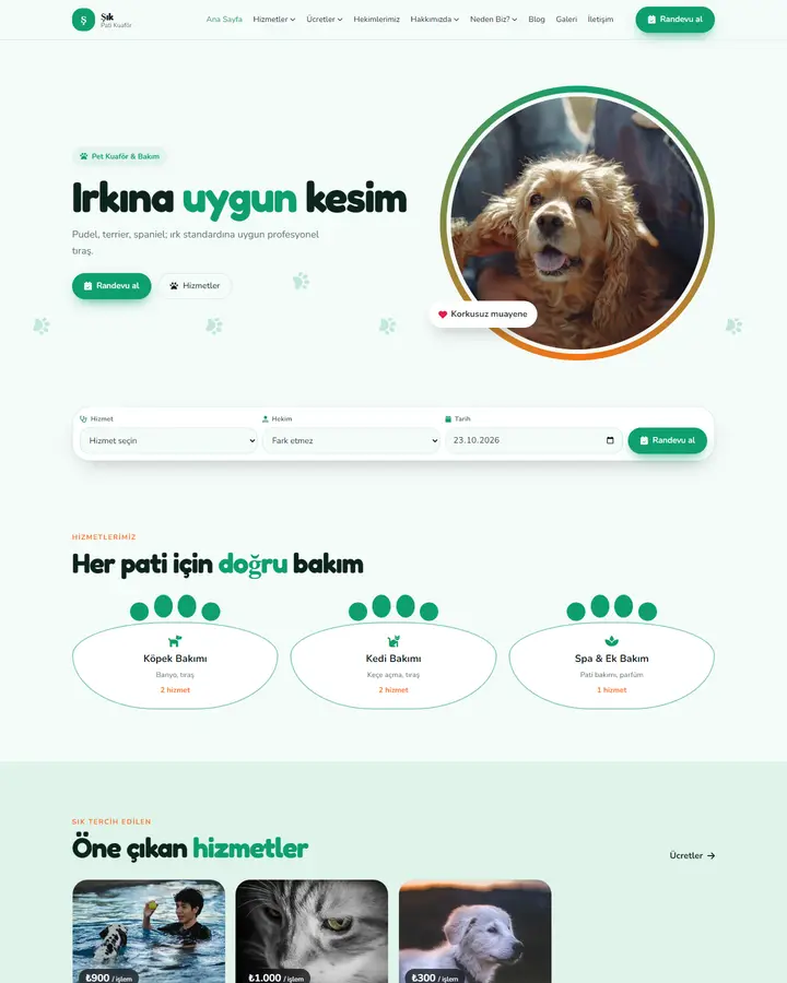Tema 21 – Pati İzi tasarım önizlemesi