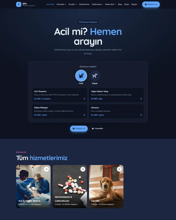 Tema 24 – Tür Seçici tasarım önizlemesi